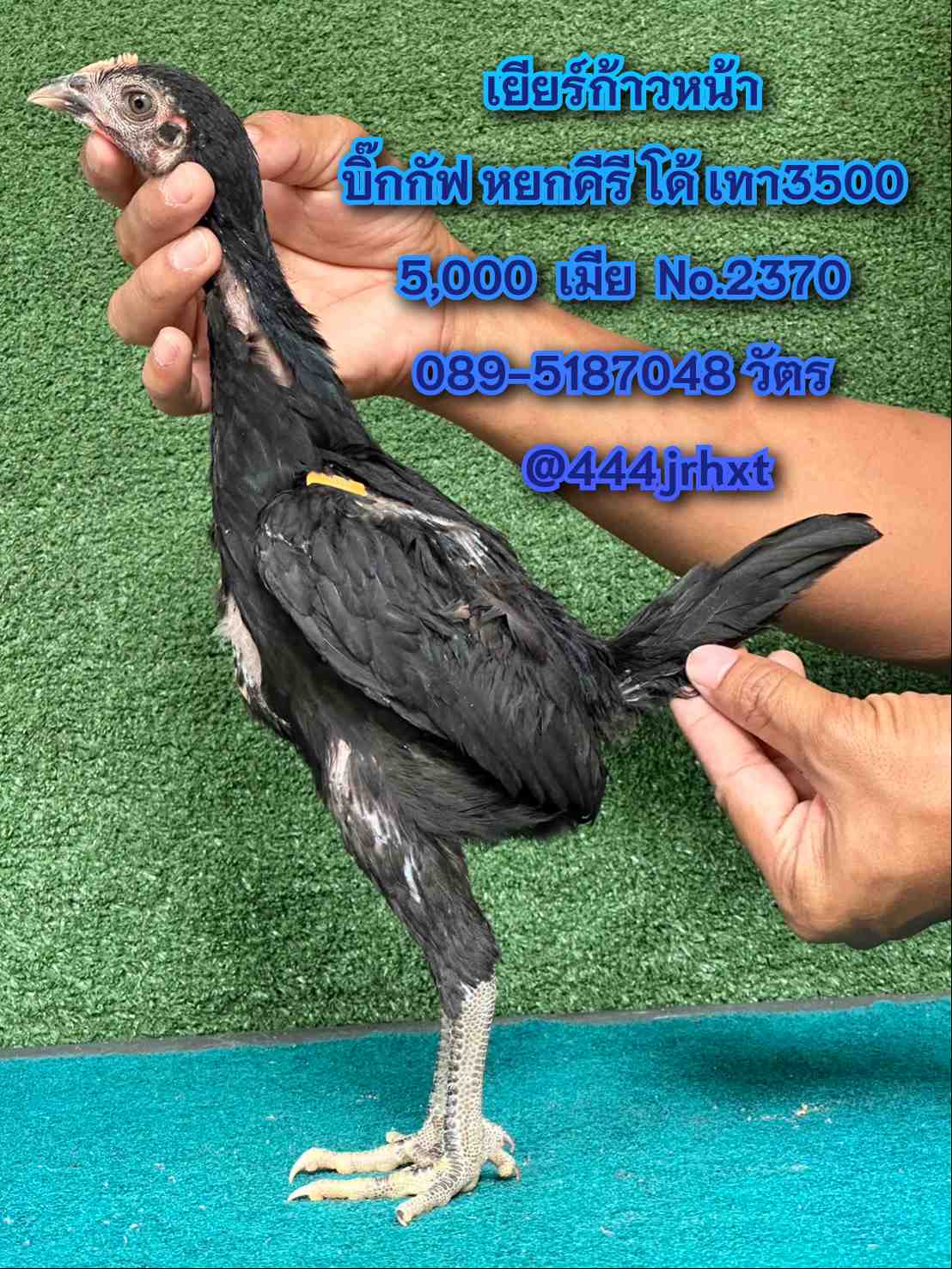 noomrongmee