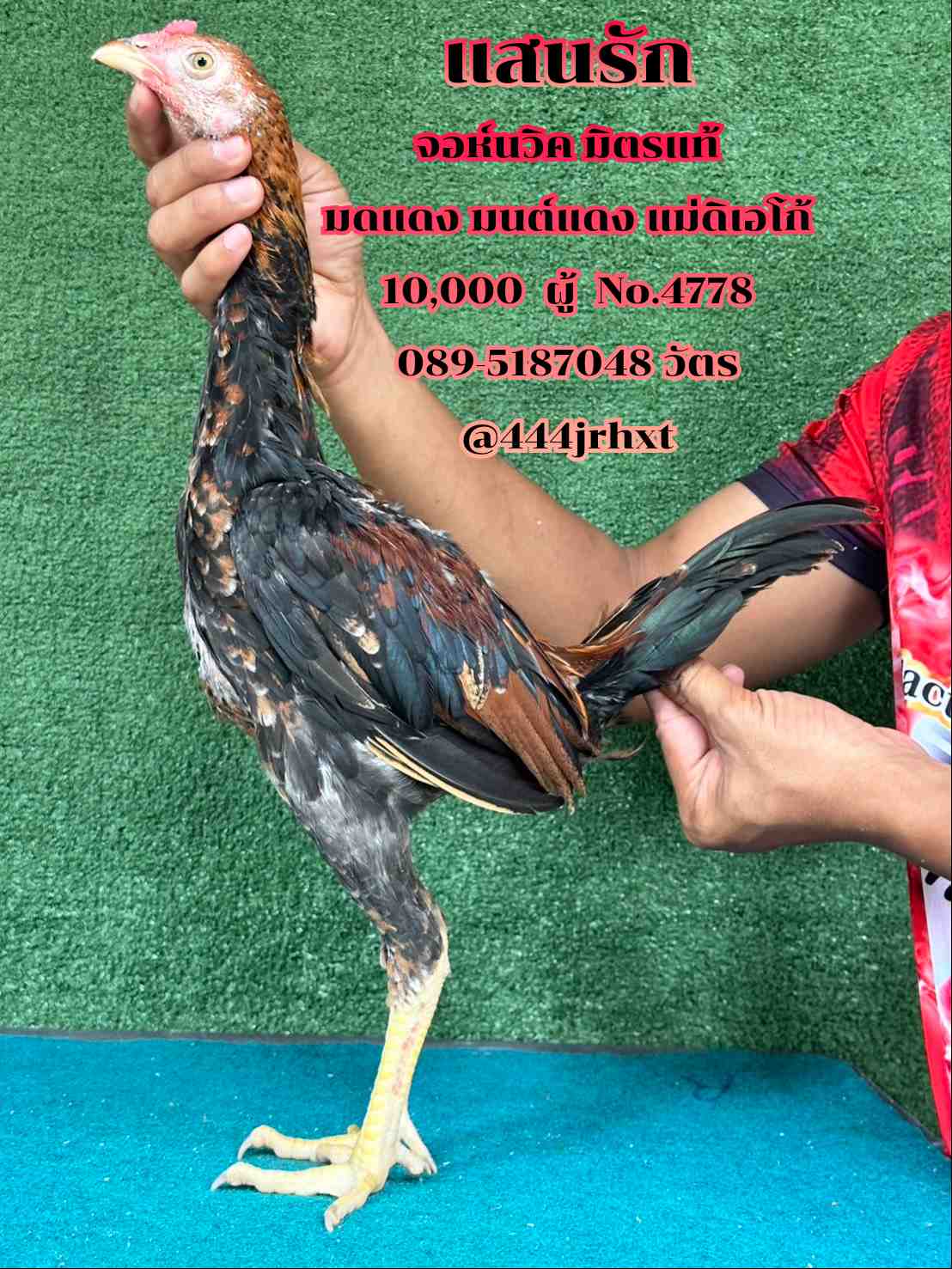 noomrongmee