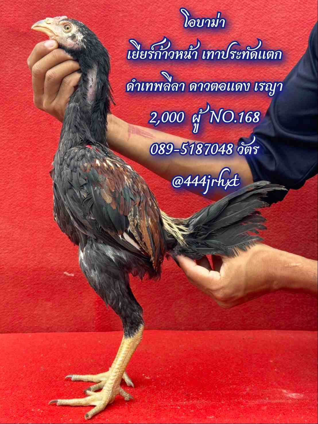 noomrongmee