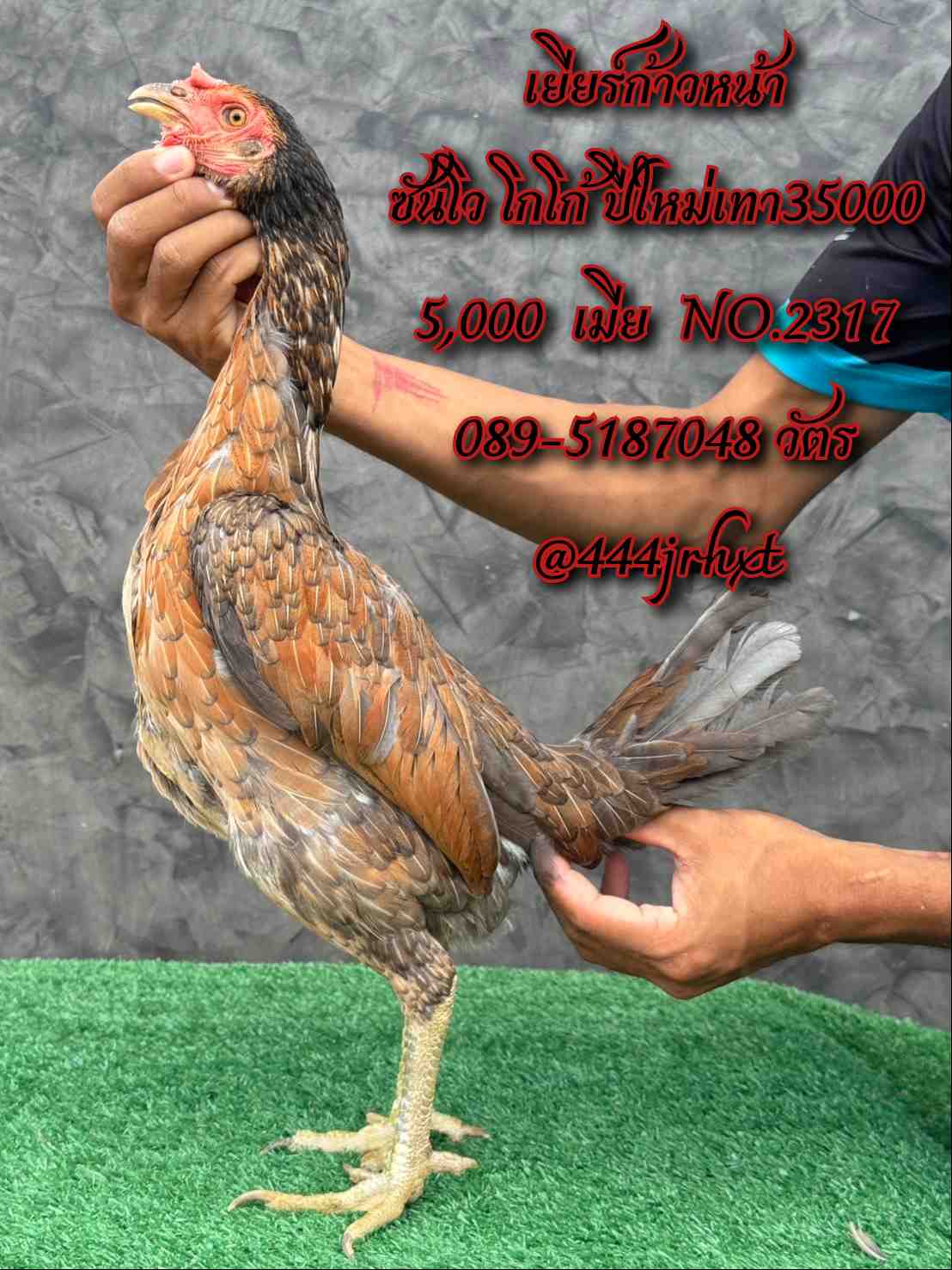 noomrongmee