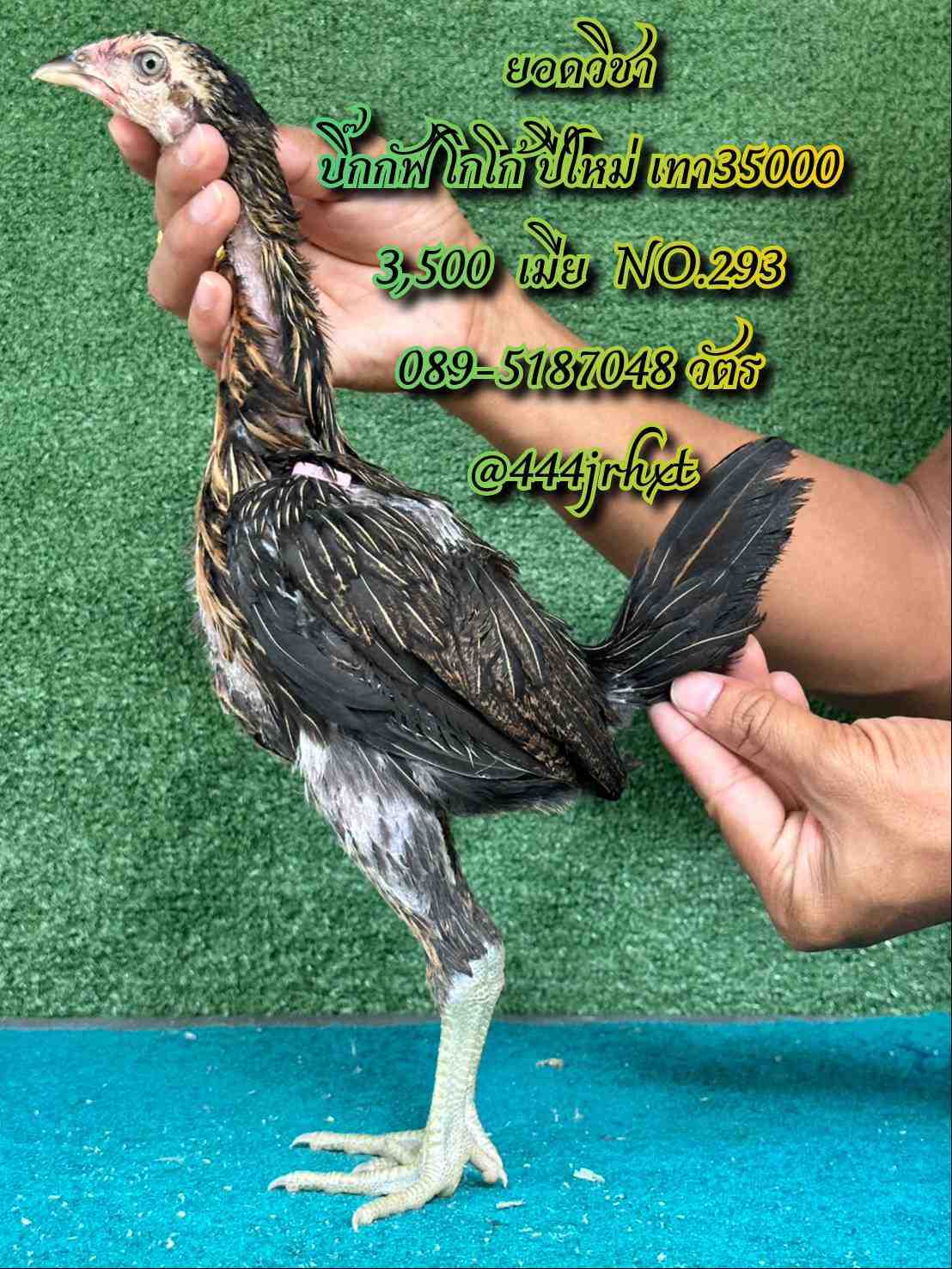 noomrongmee