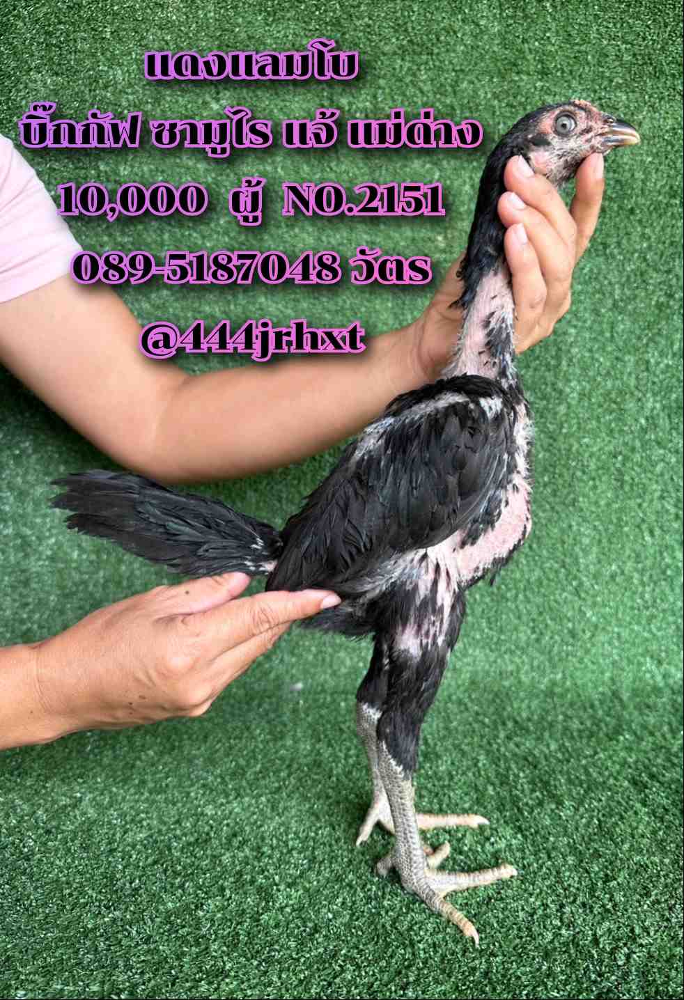 noomrongmee