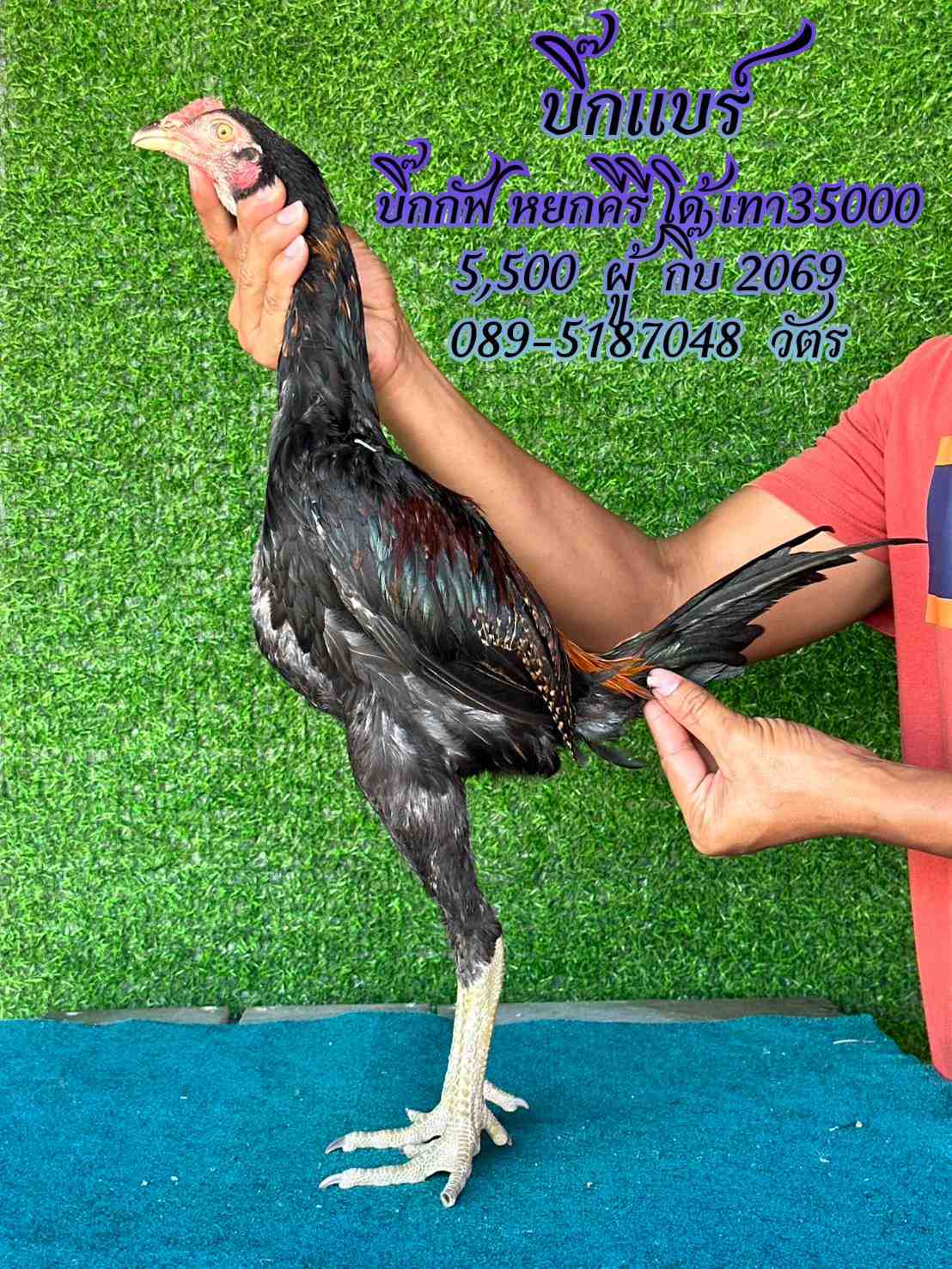 noomrongmee