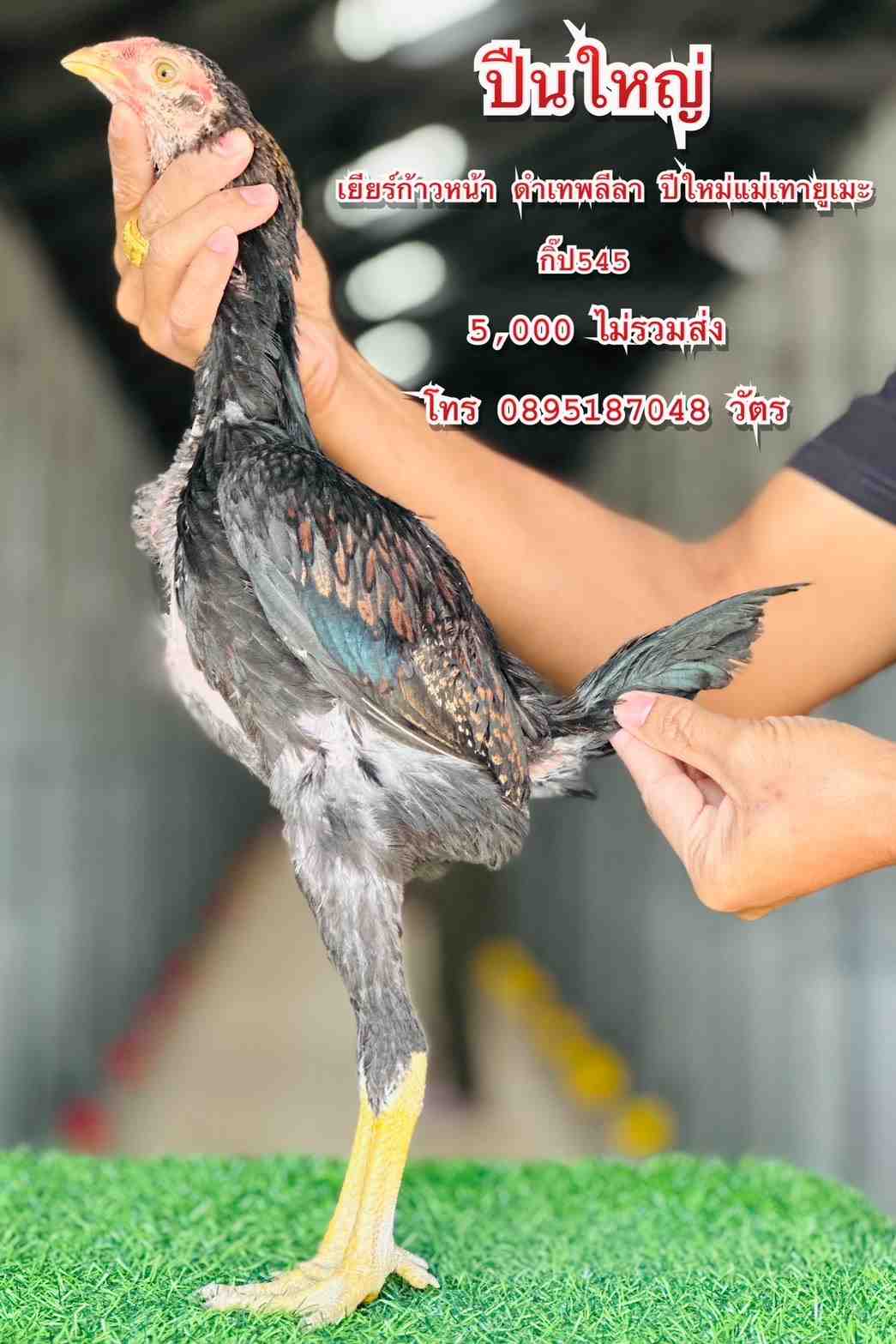 noomrongmee