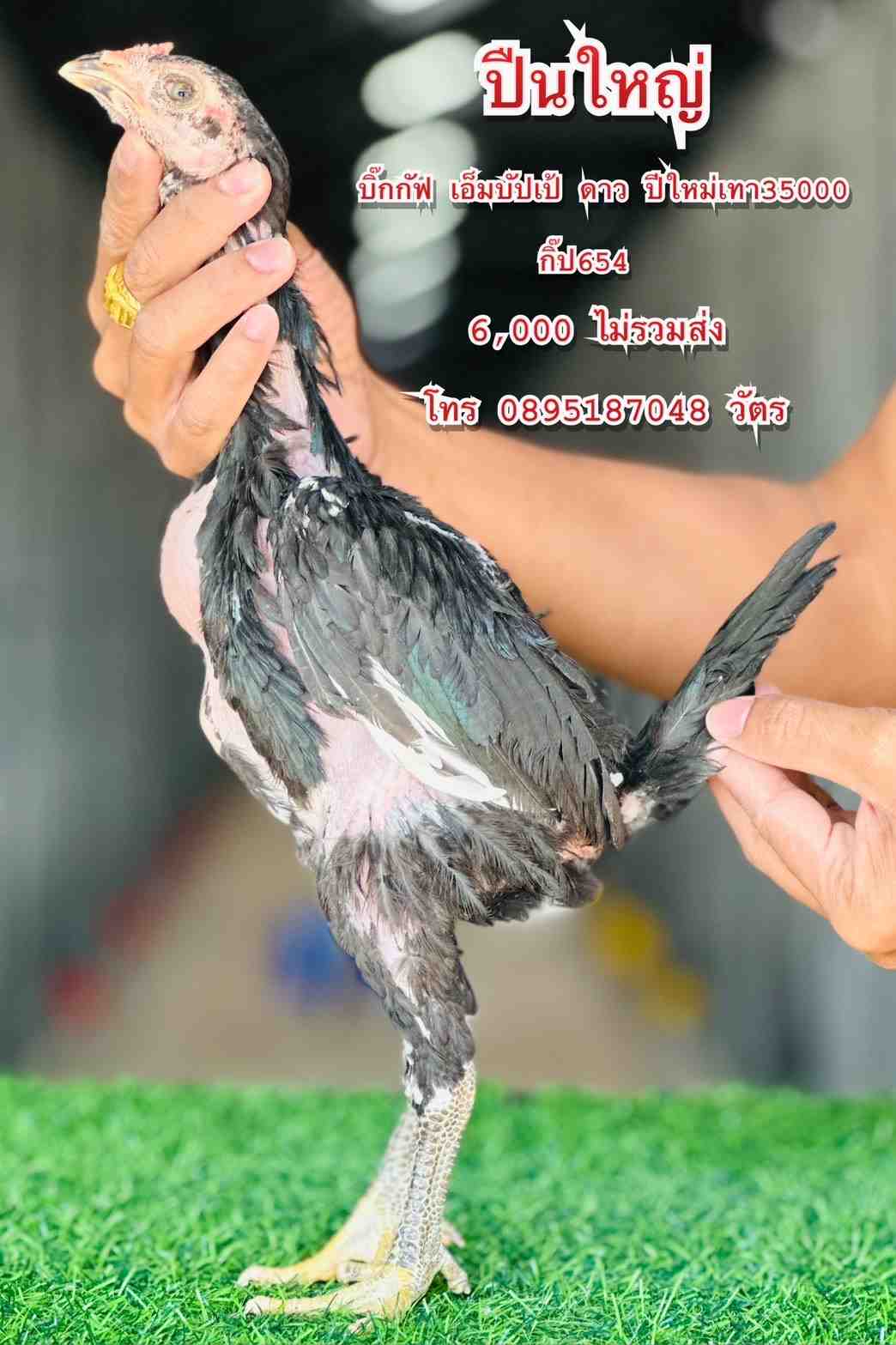 noomrongmee