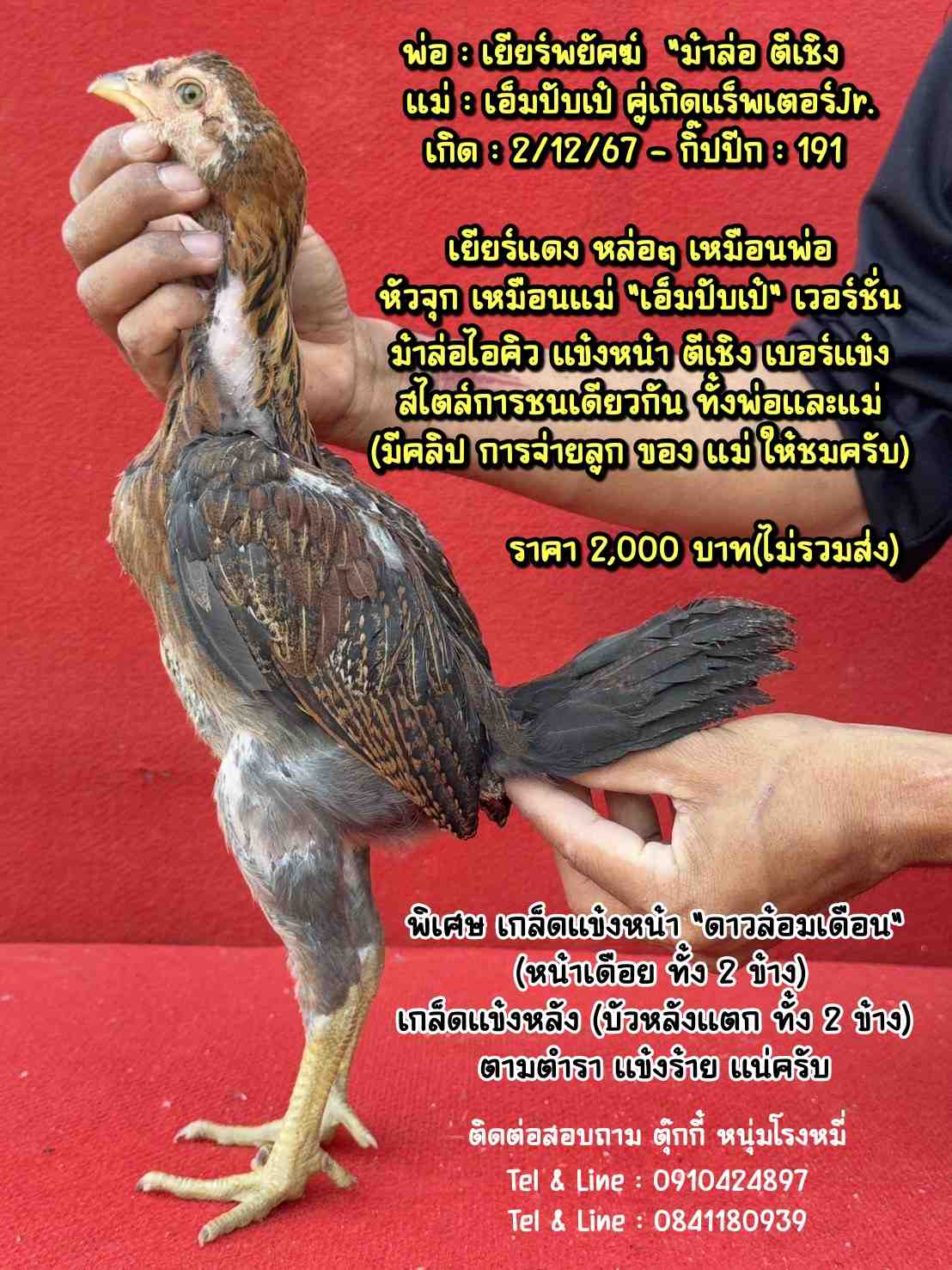 noomrongmee