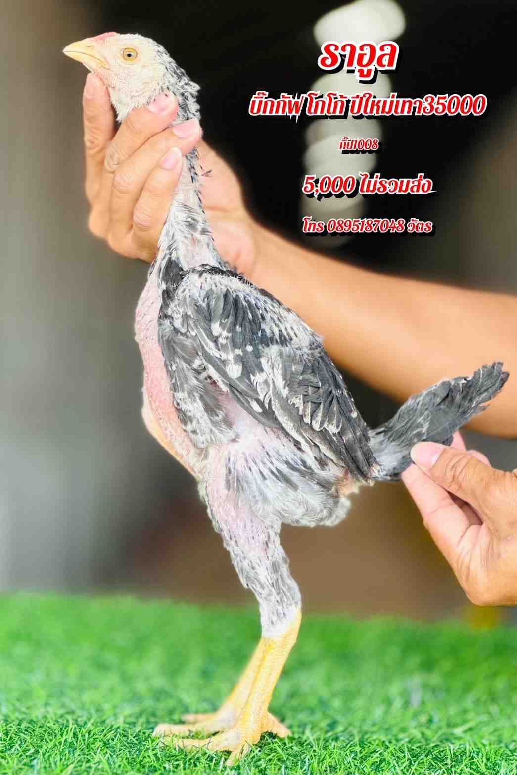 noomrongmee