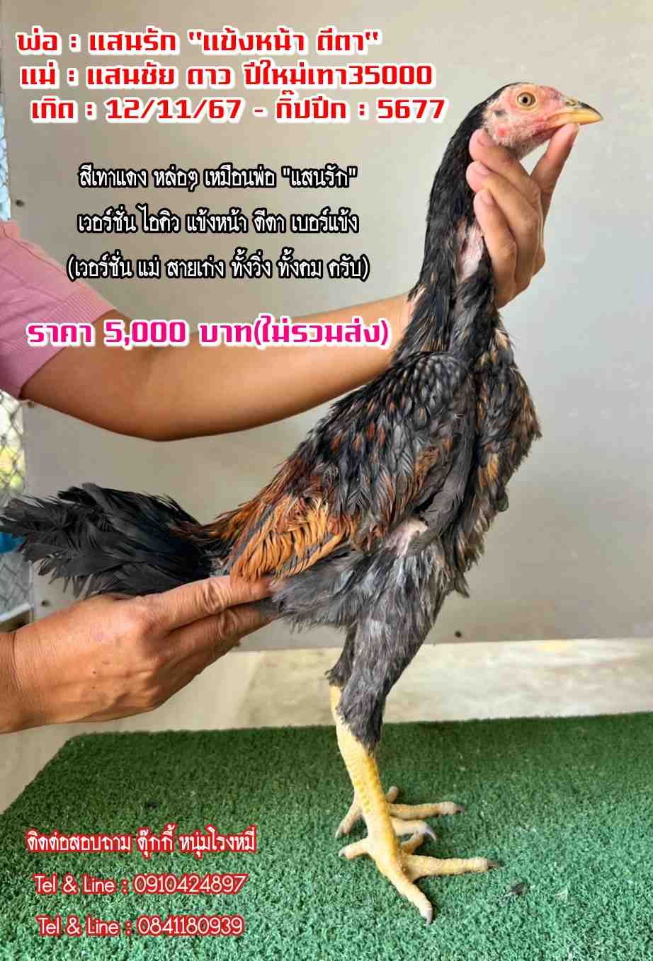 noomrongmee