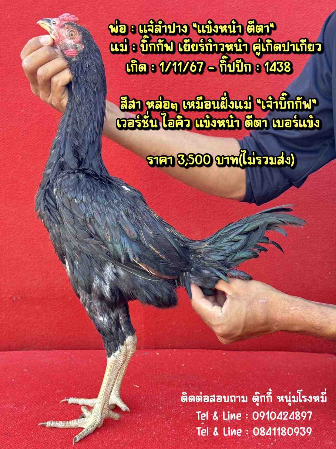noomrongmee