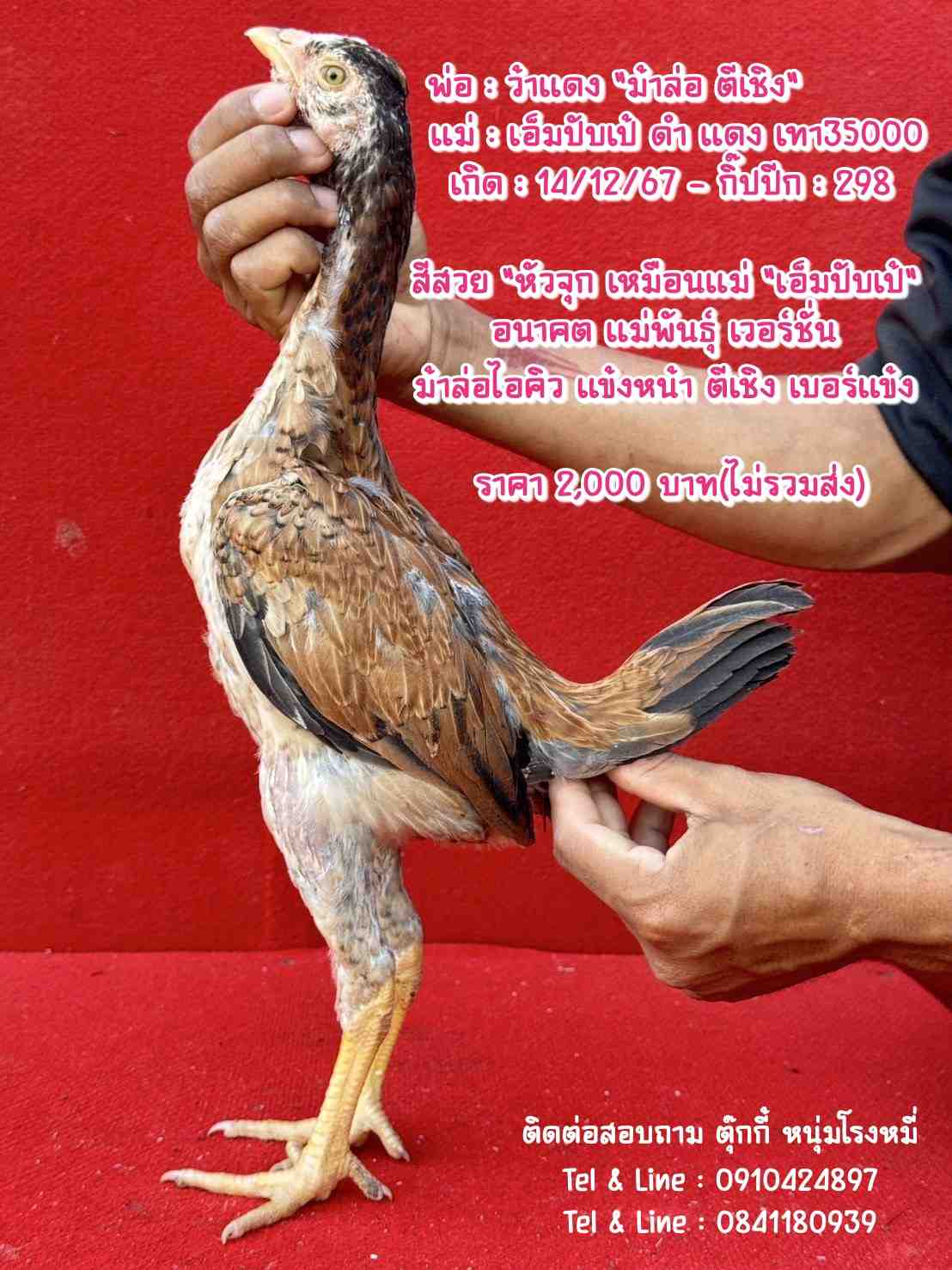 noomrongmee
