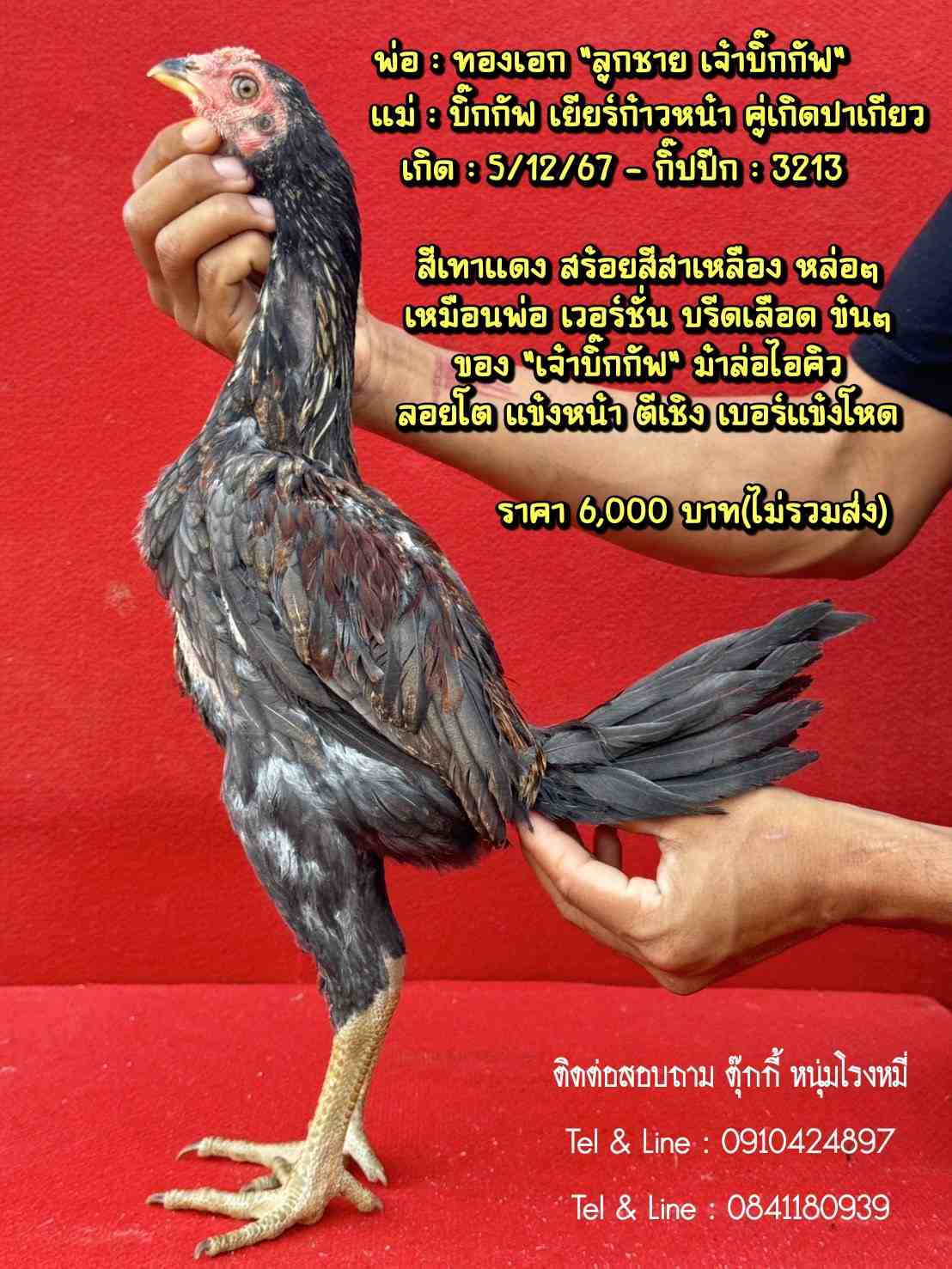 noomrongmee