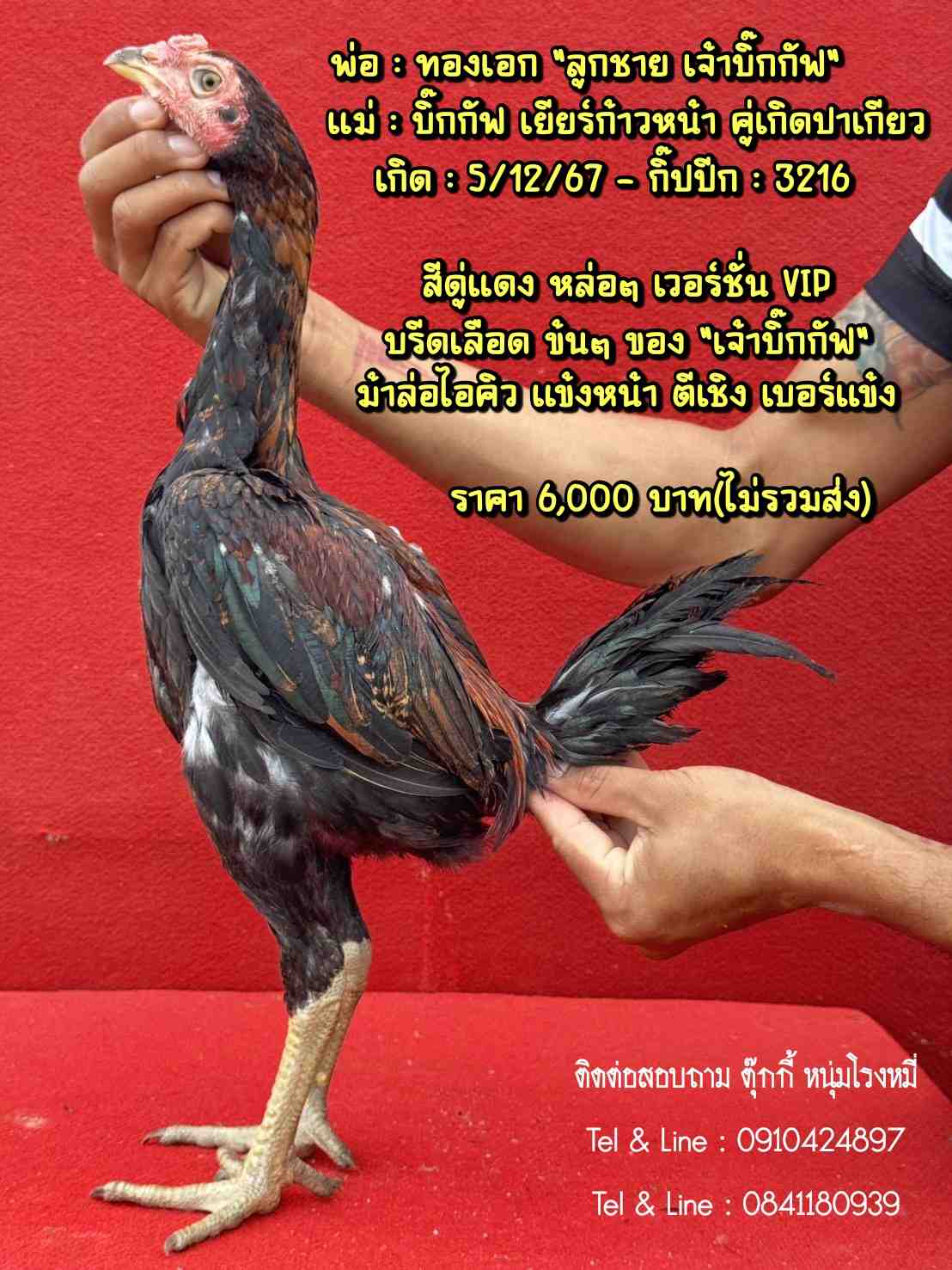 noomrongmee