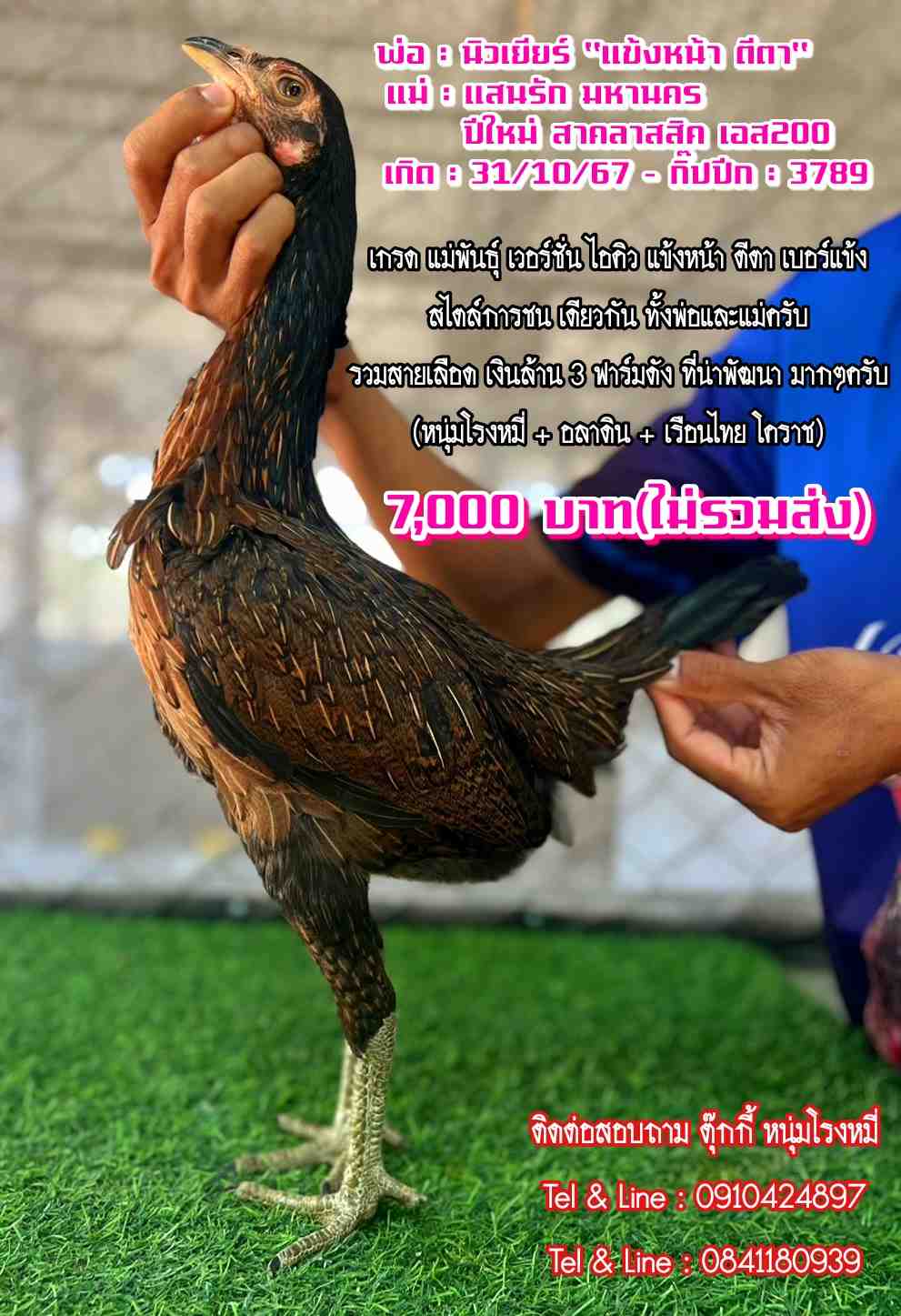 noomrongmee