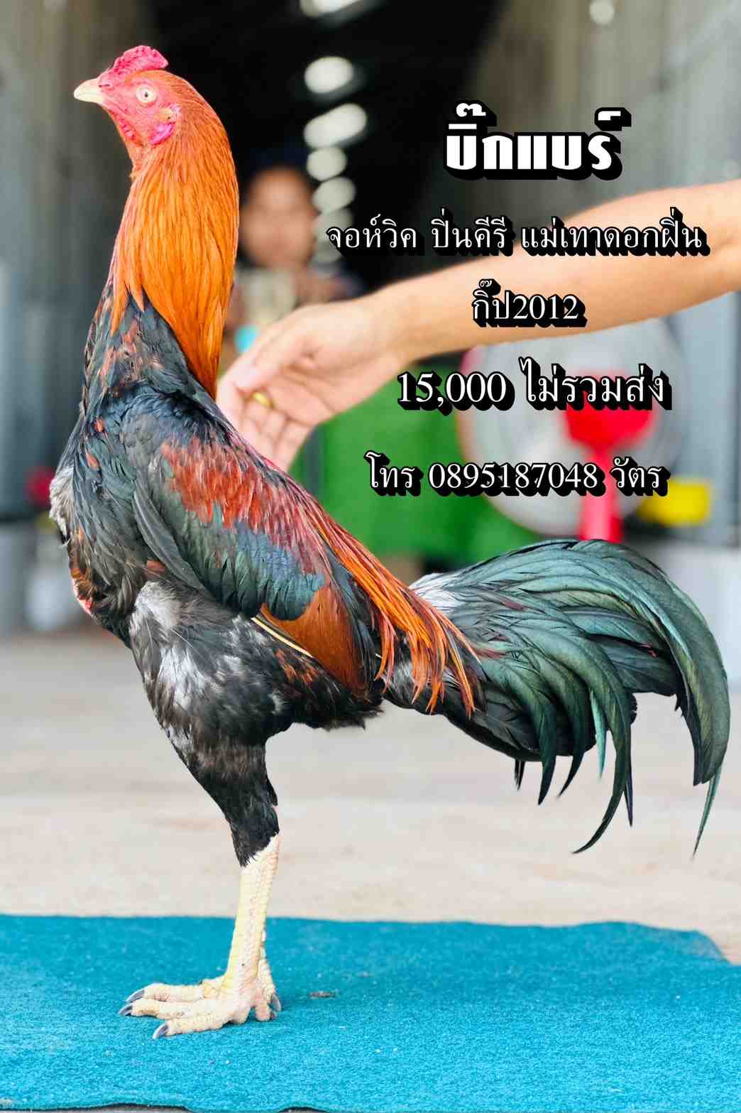 noomrongmee