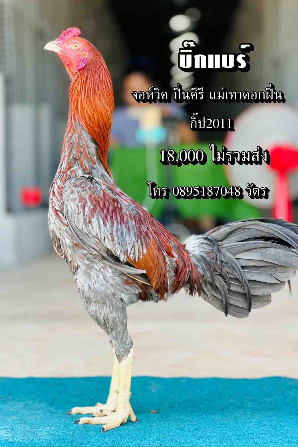 noomrongmee
