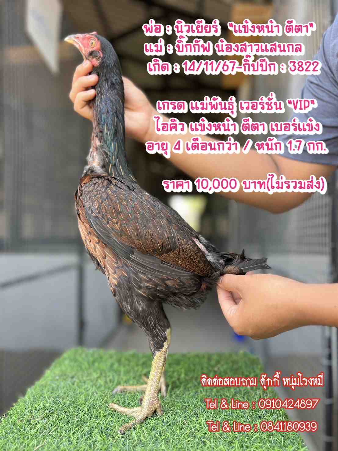 noomrongmee