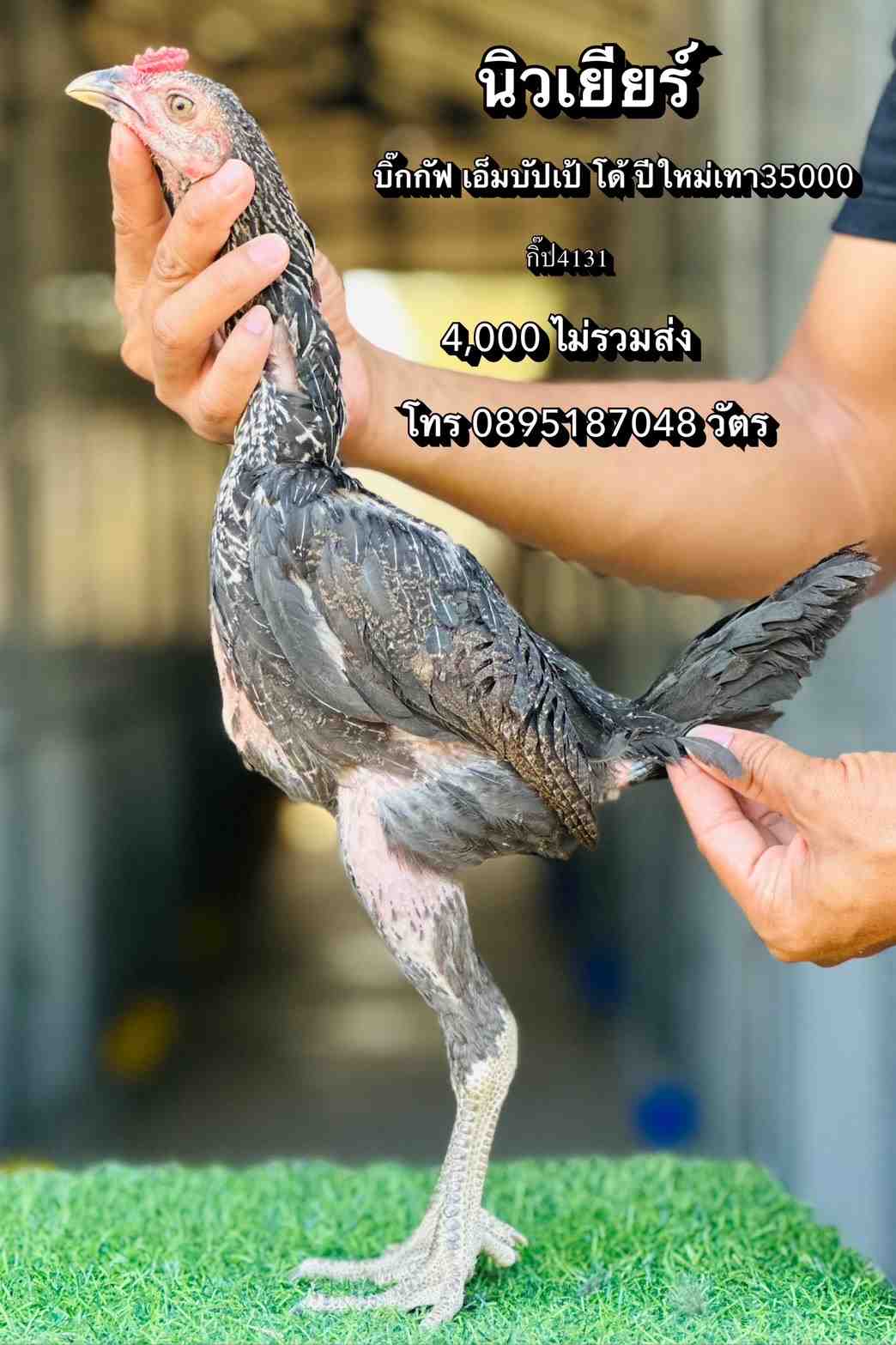 noomrongmee