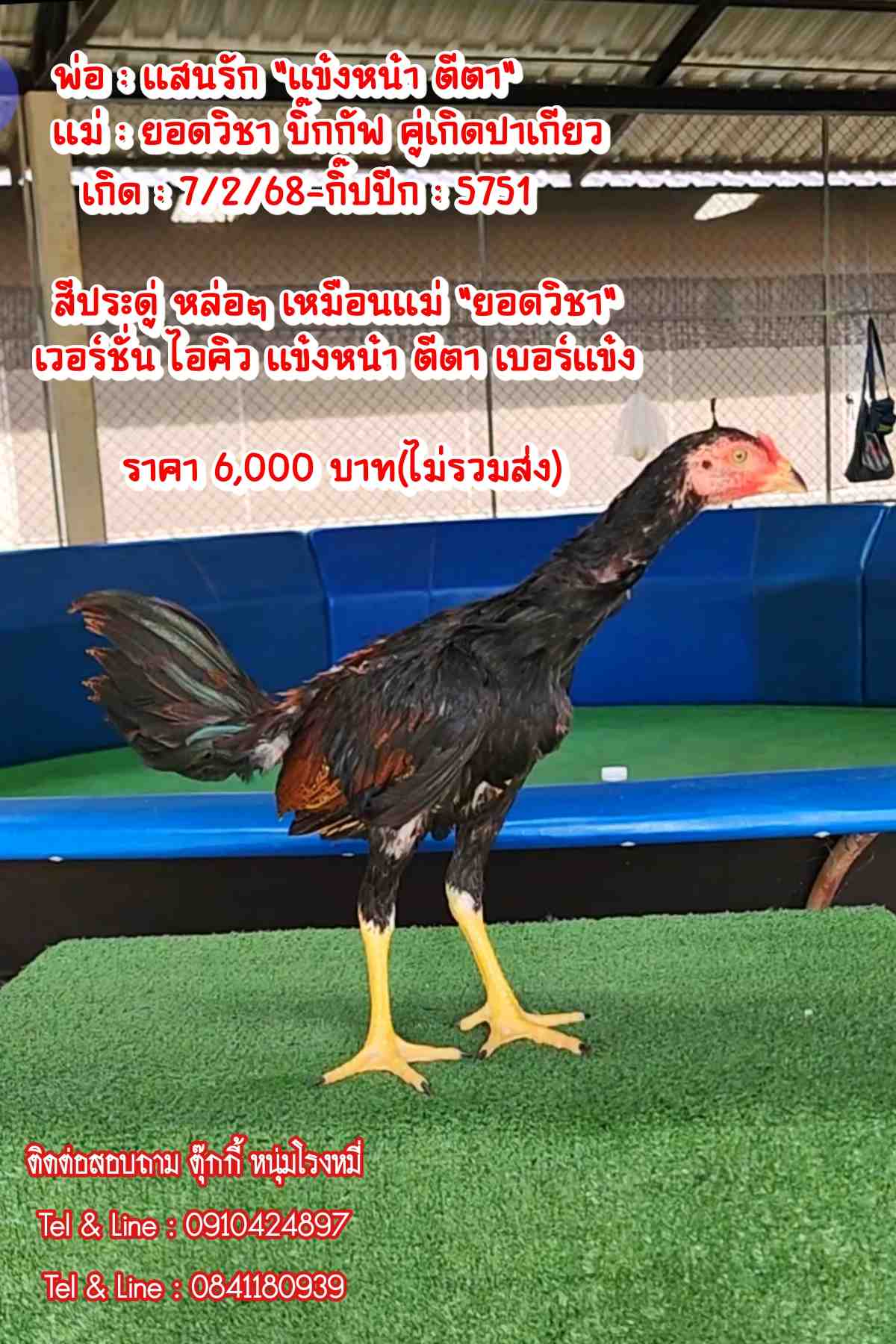 noomrongmee
