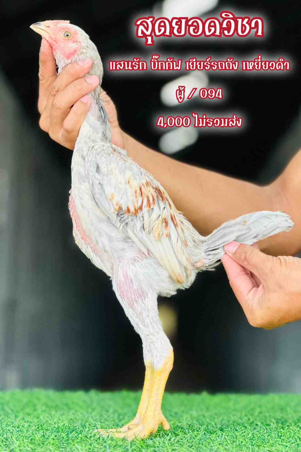 noomrongmee