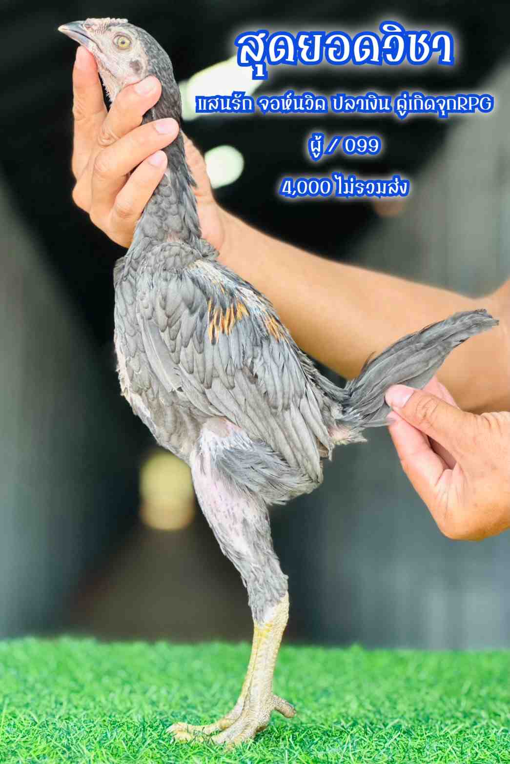 noomrongmee