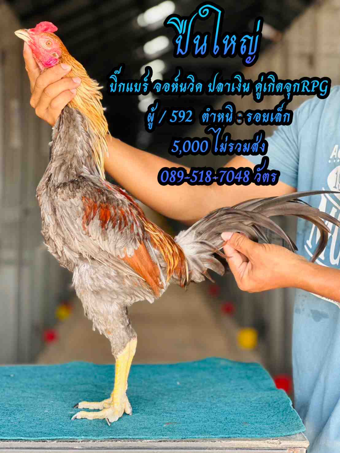 noomrongmee