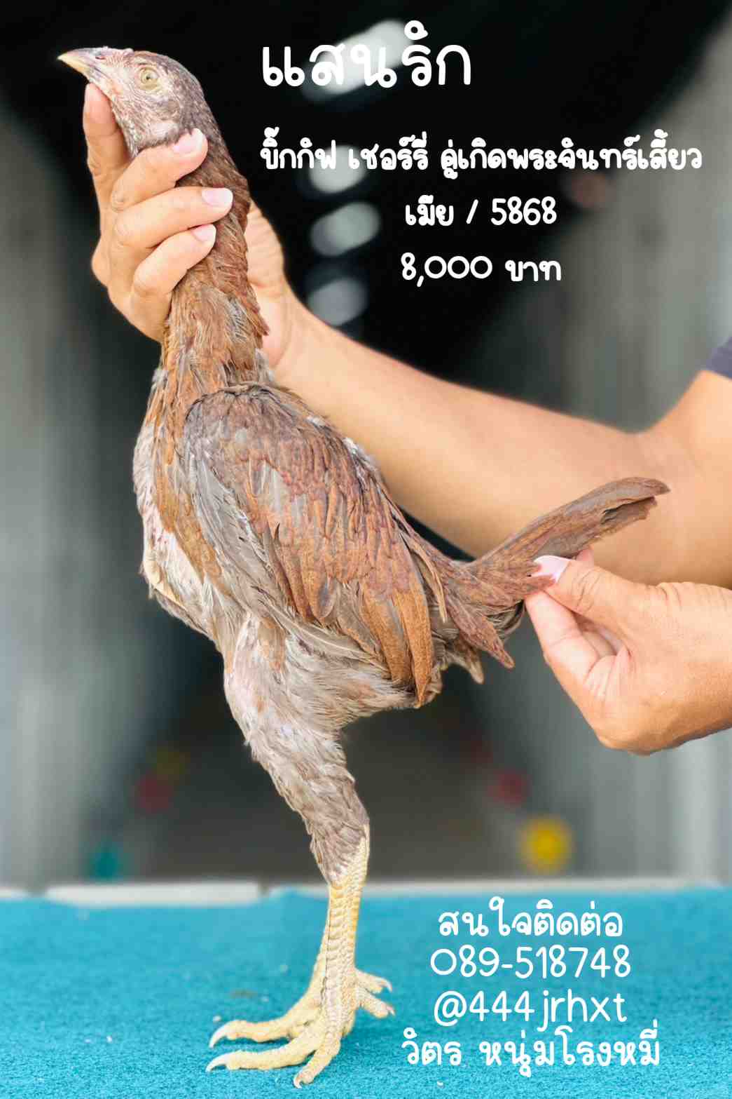 noomrongmee