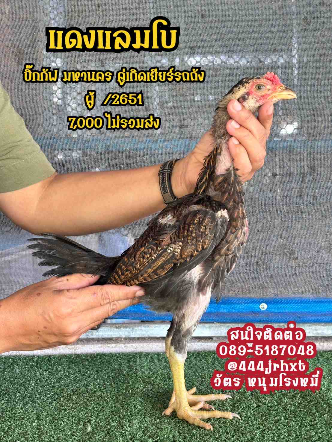 noomrongmee