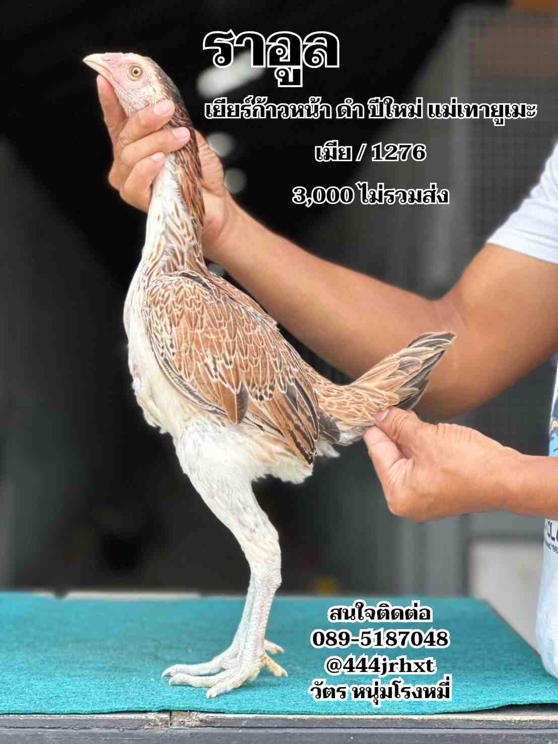 noomrongmee