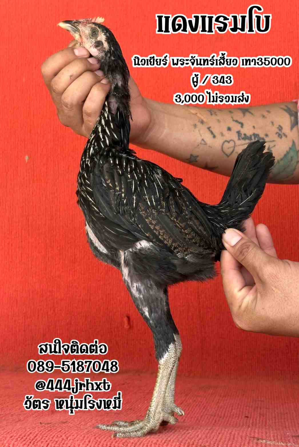 noomrongmee