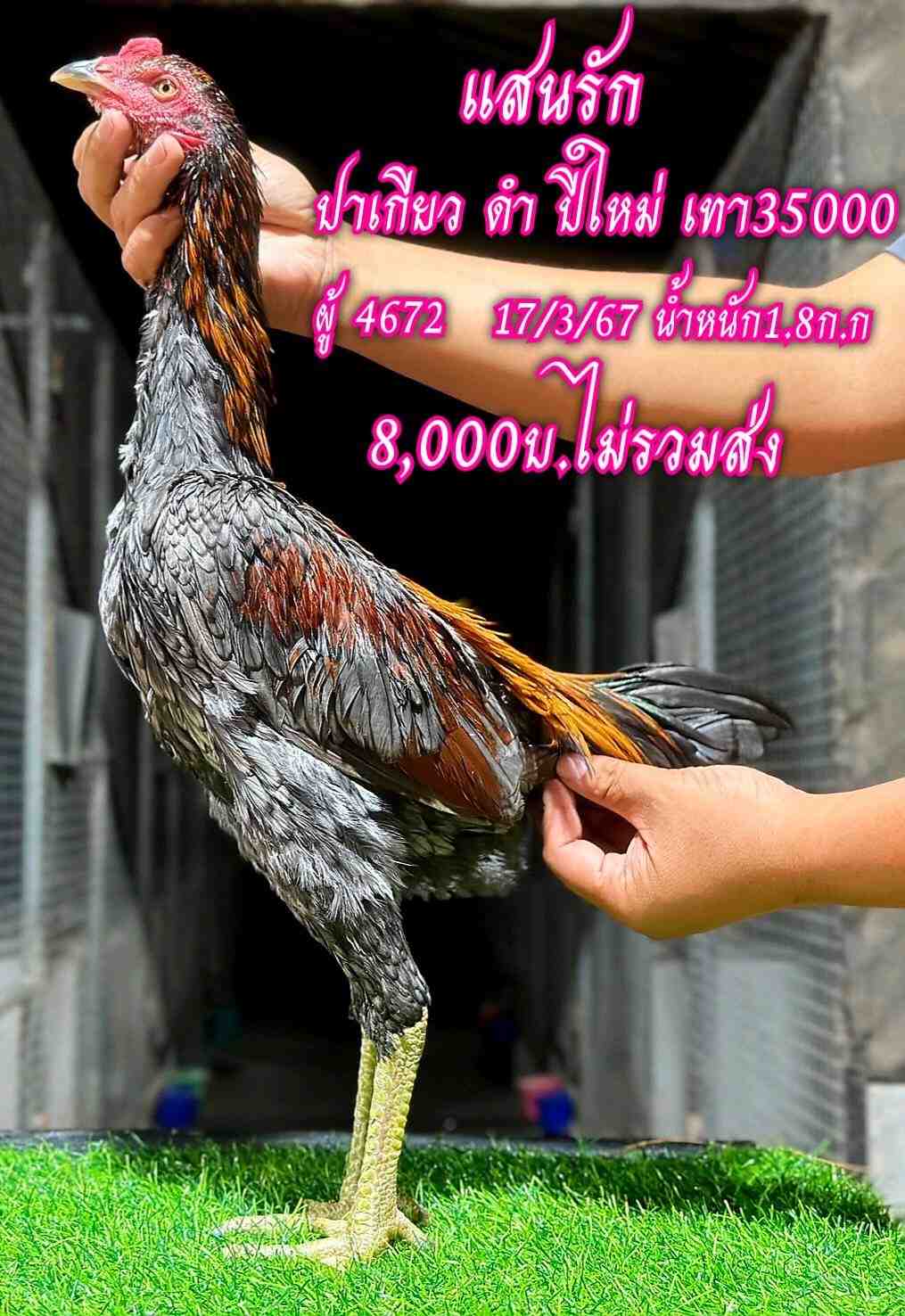 noomrongmee