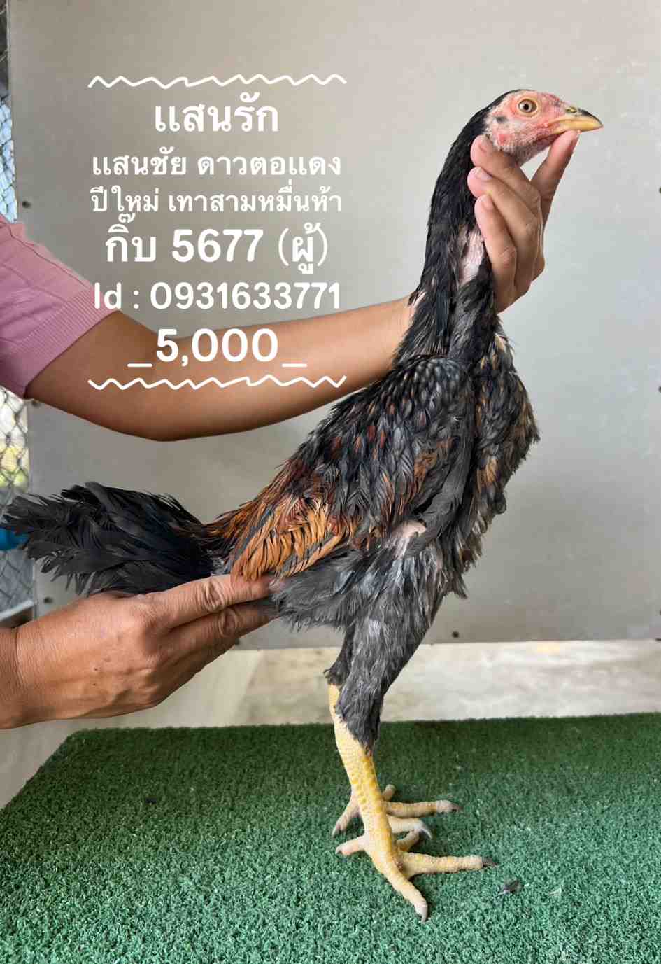 noomrongmee