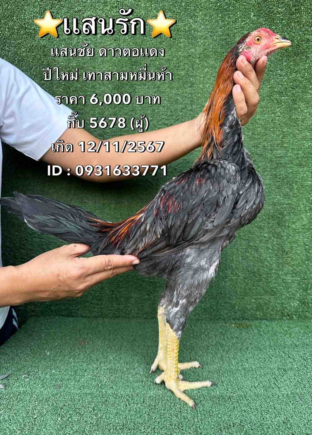 noomrongmee