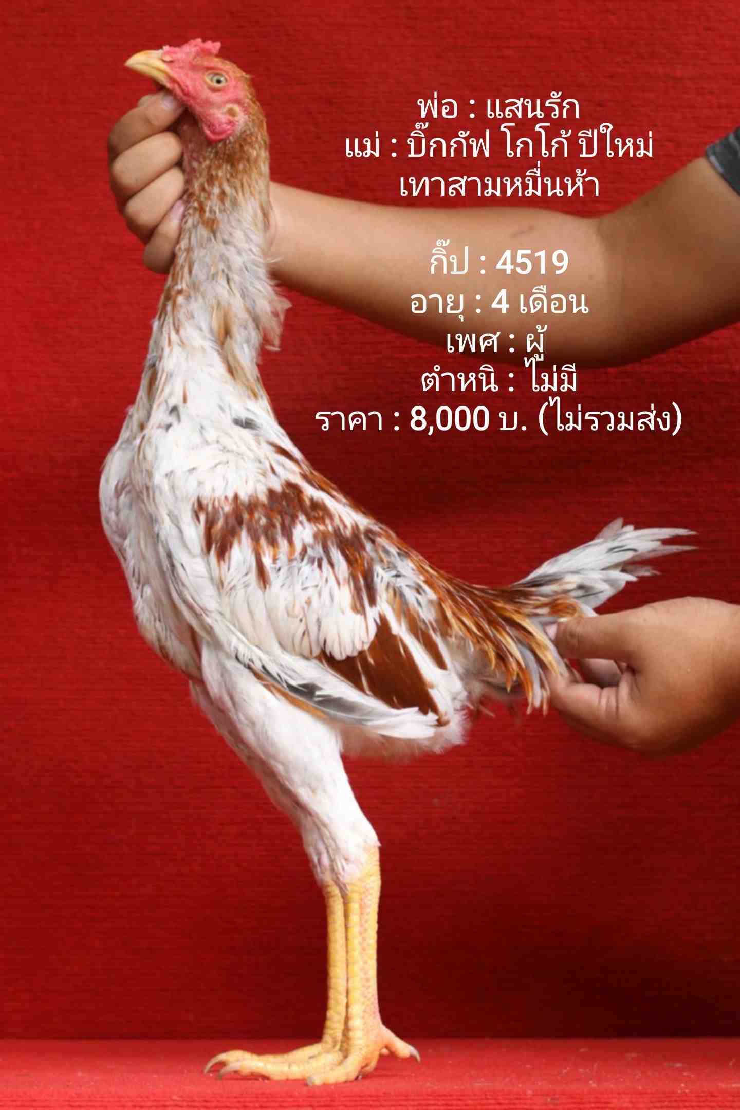 noomrongmee